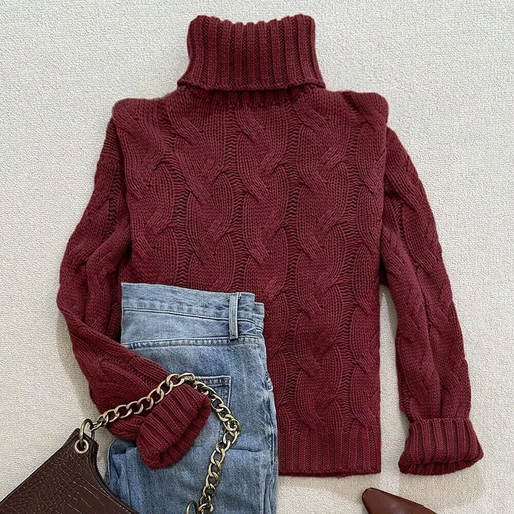 Burgundy Casual Women's Comfortable Twisted Rope print Textured highneck sweater